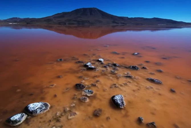 Laguna Colorada Uyuni