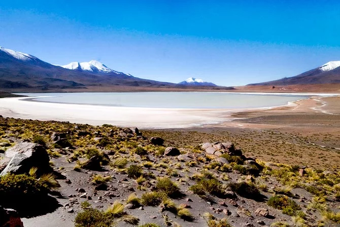 Laguna Honda Uyuni